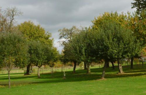 Vicq-sur-Nahon House | GITE "La Bournillière"