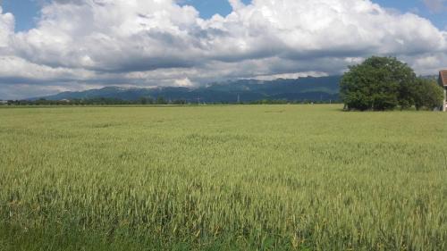 Chabeuil Apartment | GITE LA CLE DES CHAMPS