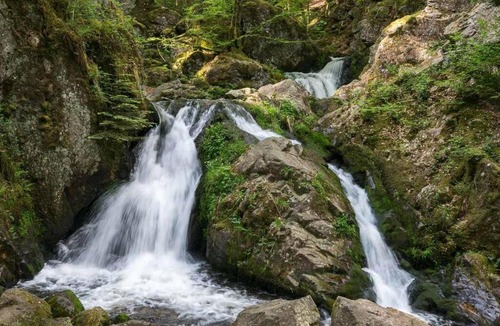 Docelles House | GITE LA FERMETTE A DOCELLES