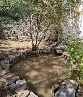 Saint-Anastaise Apartment | Gite La Lumette