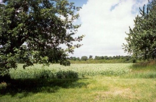 Allonnes House | Gite La Maison de l'Ouvriern