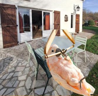 Bransles House | Gite La Plume de Vallombreuse