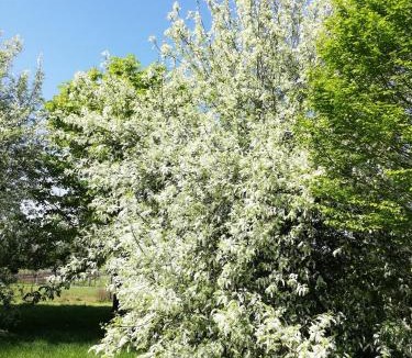 Charrais House | Gite Le Clos Constance