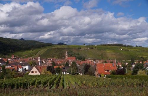 Riquewihr House | Gite Le Mandlé