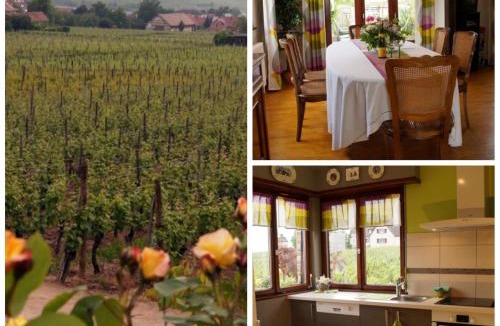 Riquewihr House | Gite Le Mandlé