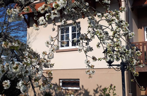 Monswiller House | GITE LE PLATANE