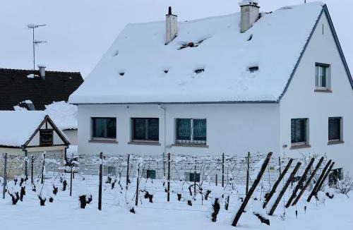 Riquewihr Apartment | Gite Les deux belettes