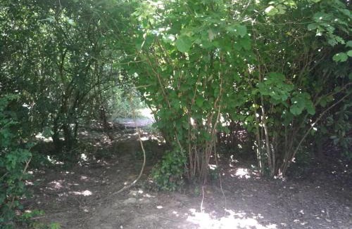 Grand'Landes House | Gite les Farfadets - 12 personnes maxi