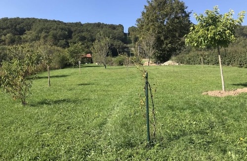 Saint-Ythaire House | Gite les Mésanges