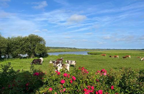 Liesville-sur-Douve House | Gite Les Marais de la Douve
