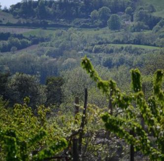 Montchenu House | Gite les pins