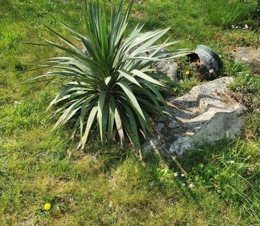 Moigny-sur-Ecole House | GITE LES ROCHES