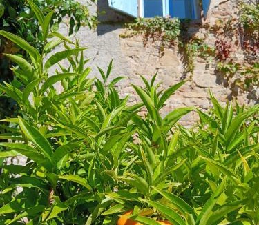 Le Segur House | Gite Les Volets Bleus du Segur