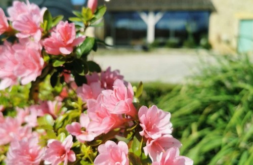 Limeuil Cottage | Gite Limeuil, 4 bedrooms, 7 persons