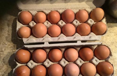 Paspebiac Bed & Breakfast | Gite MacDale B&B