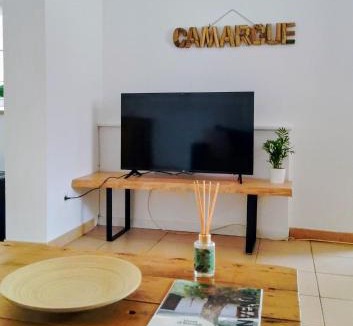 Saint-Laurent-d'Aigouze Apartment | Gite Mas petite panisse équestre