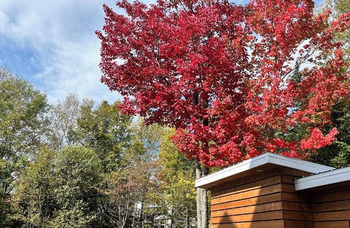 Baie-St-Paul House | Gite Nature et Pinceaux