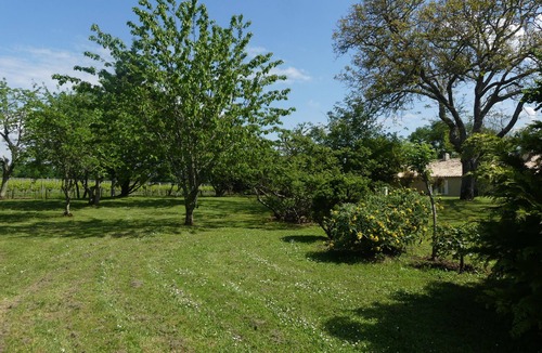Bossugan House | Gite near Saint Emilion
