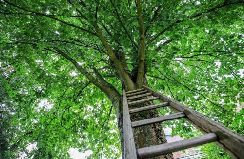 Forges-les-Eaux House | Gite Normandie