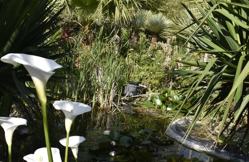 Surtainville House | Gîte - parking - pool in summer - sea and stores