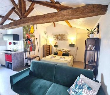 La Roche-sur-Yon House | Gite "RIO", parking securise