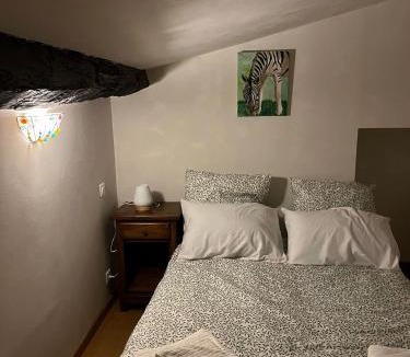 Montferrer Apartment | Gite Thérèse