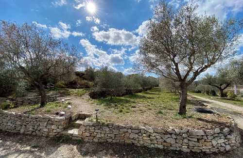 Saint-Jean-de-Barrou Apartment | GITE THYM IN THE HEART OF AN OLIVE GROVE