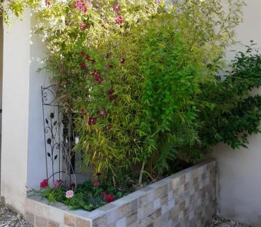 Volvent Apartment | Gite Tropical