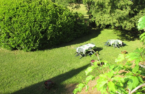 Costieres House | Gite with character in a vineyard - unit 1972900