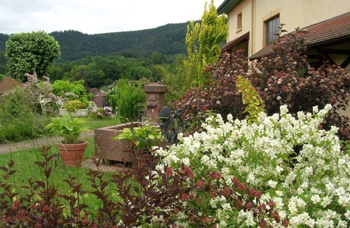 La Petite-Raon House | GITE WITH PANORAMIC VIEW