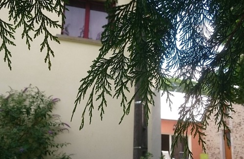 Mont-Saint-Jean House | GITE WITH SWIMMING POOL, ping pong, 45 min le mans, located alpes mancelles