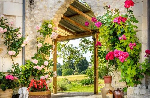 Cussay House | Gites Arches de Muschamp