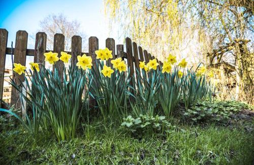 Jumencourt House | GITES CURCUMA et COMPAGNIE