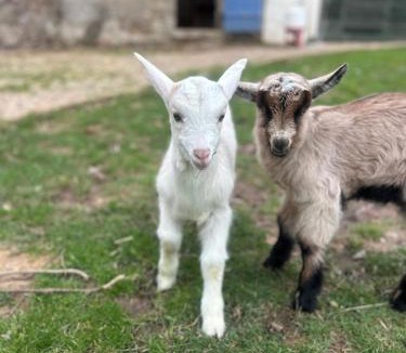 Adriers House | Gites de la Vergne