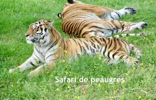 Quintenas Apartment | GITES DES ECOLES