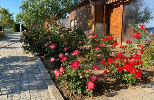 Chatillon-sur-Marne Apartment | Gites Des Sablons