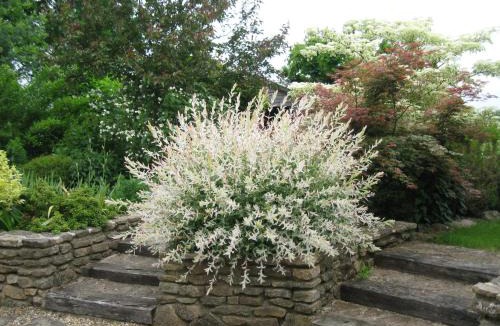 Malansac House | Gites du ROHERAN