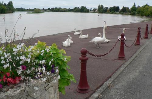 Vignonet House | Gites face rivière Saint-Emilion
