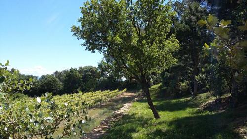 Pont-Saint-Esprit House | Gites Les Chrisalies