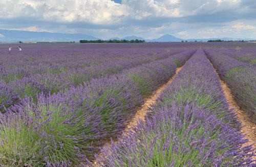 Villeneuve Apartment | Gites Mas Du Cadranier