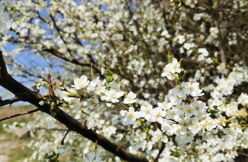 Bogense Bed & Breakfast | gl. Havn BnB