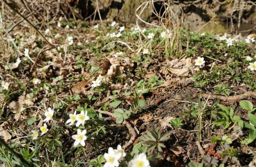 Bogense Bed & Breakfast | gl. Havn BnB