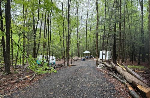 Woodbourne Villa | Glamping Camping