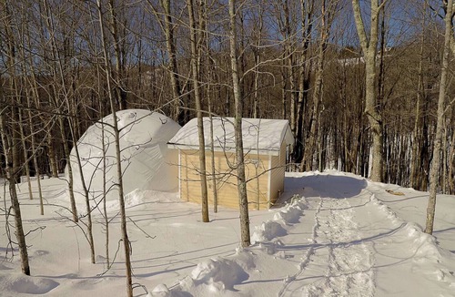 Edray House | Glamping Dome #3 in Snowshoe WV