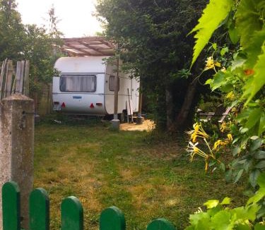 Blere Other | Glamping du loup garou