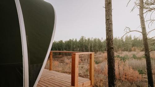 McIntosh Other | Glamping Escape in the Manzanos