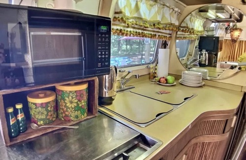 Berryville House | Glamping in an Airstream, Hot Tub, Fire Pit