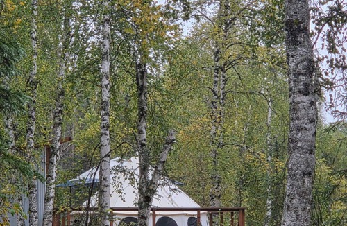 Susitna North RV Rental | Glamping in the trees