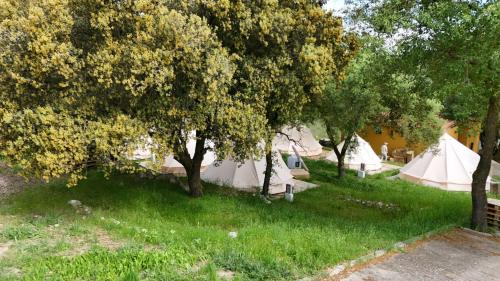 Encinas de Esgueva Other | Glamping La Bellota