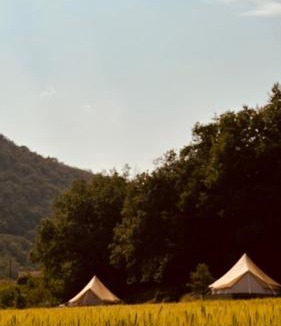 Combret Other | Glamping Luz Olive